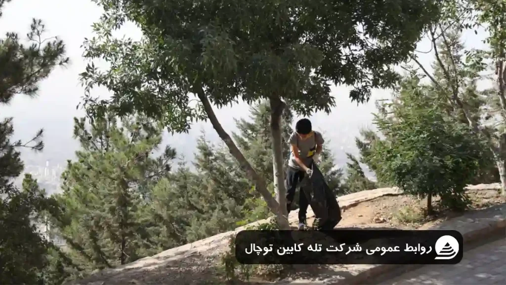 توچال